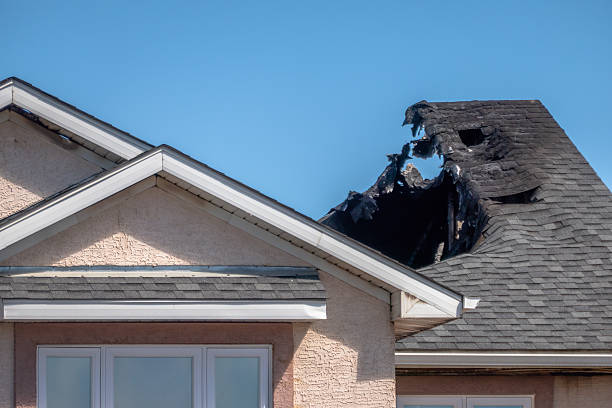 Top rated local Fire Damage Removal specialists in Glenwood, MN